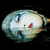 :icongralic-fersh: