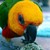 :icongrampo29: