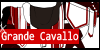 :icongrandecavallo: