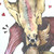 :icongrandifloru: