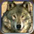 :icongrandmasterwolf: