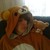 :icongrandotaku: