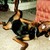 :icongrannie04:
