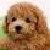 :icongranola1919: