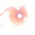 :icongrapefruitandchaitea: