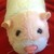 :icongraphicart24: