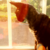 graphicgirl12345 :icongraphicgirl12345: