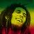 :icongraphics179323: