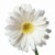 :icongraphicsrock712: