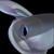 :icongraphitemetallic: