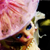 :icongraphixgirl87: