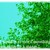:icongrasshoppergreen: