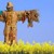 :icongrasslimb-plz: