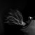 :icongrave-devil: