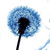 :icongravebanner: