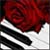:icongraveeboataphotos: