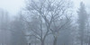 :icongraveyard-wishes: