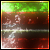 :icongravi-ton:
