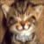 :icongravy-storm: