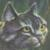 :icongray-stripe: