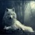 :icongray-wolf-fang: