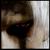 :icongrayfoxbg: