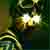 :icongrayfoxhound1303: