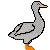 :icongraygoose: