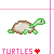 :icongrayish-blue: