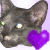 :icongraykitten: