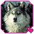 :icongraystripe-rox: