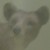 :icongraythylacine: