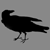 :icongrayven:
