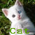 :icongrazii: