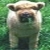 :icongrazing-sheep: