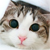 :icongreat99:
