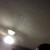 :icongreatfish: