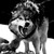 :icongreatkyliewolf: