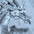 :icongreatwyrm15: