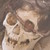 :icongreavis: