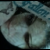 :iconGreeck: