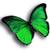 :icongreen-butterflies: