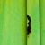 :icongreen-club: