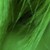 :icongreen-eccentric:
