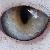 :icongreen-inferno-dragon:
