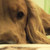 :icongreen-life-for-me: