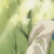 :icongreen-pants: