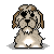 :icongreen-tara: