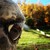 :icongreenappaloosa: