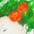 :icongreenberries: